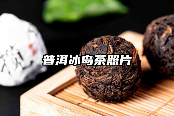 普洱冰岛茶照片