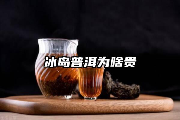 冰岛普洱为啥贵