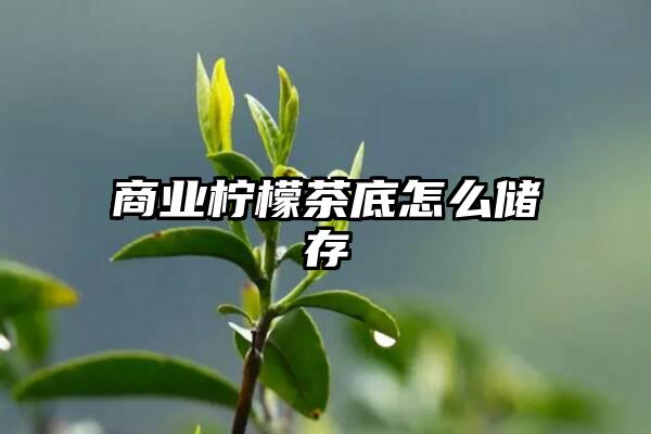 商业柠檬茶底怎么储存