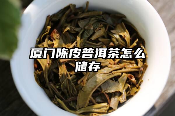 厦门陈皮普洱茶怎么储存