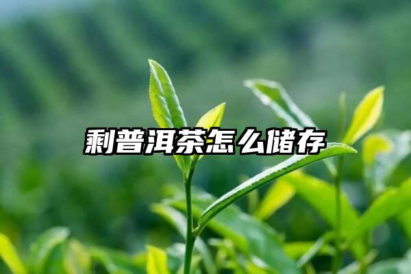 剩普洱茶怎么储存