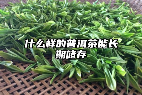 什么样的普洱茶能长期储存