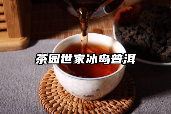 茶园世家冰岛普洱