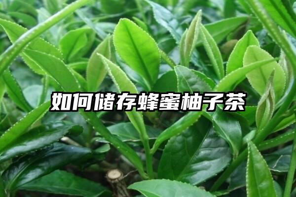 如何储存蜂蜜柚子茶