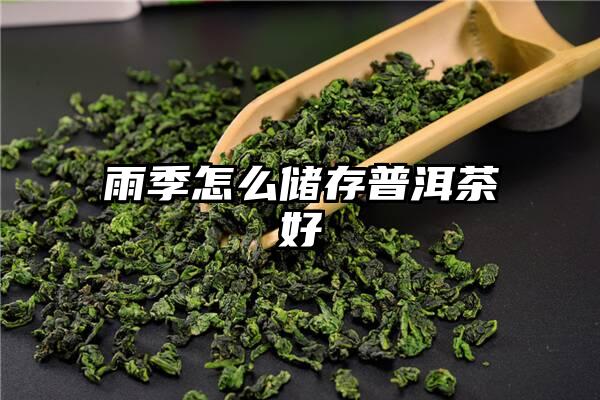 雨季怎么储存普洱茶好