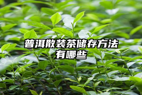 普洱散装茶储存方法有哪些