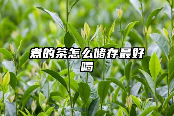 煮的茶怎么储存最好喝