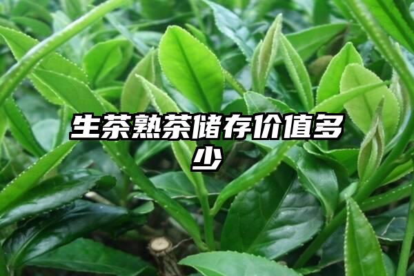 生茶熟茶储存价值多少