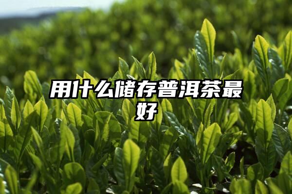 用什么储存普洱茶最好