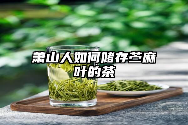 萧山人如何储存苎麻叶的茶