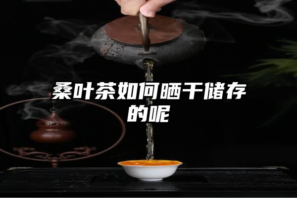 桑叶茶如何晒干储存的呢