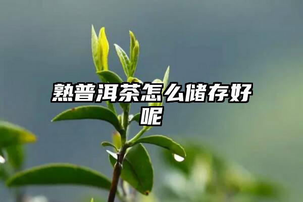 熟普洱茶怎么储存好呢