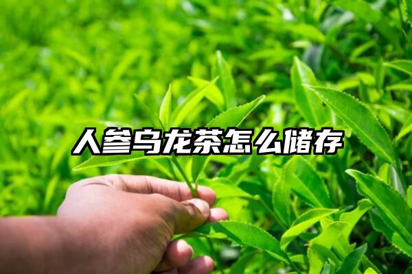 人参乌龙茶怎么储存