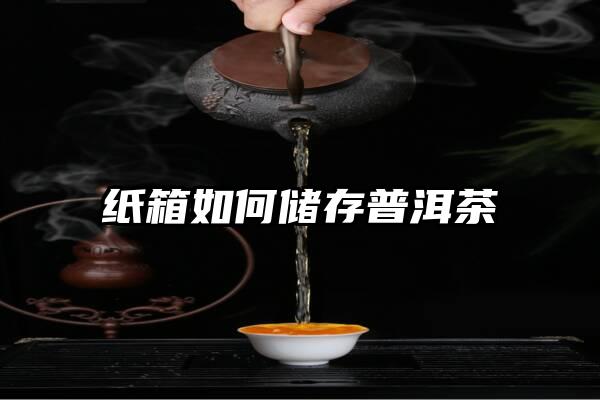 纸箱如何储存普洱茶