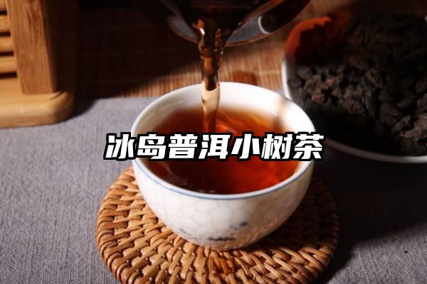 冰岛普洱小树茶