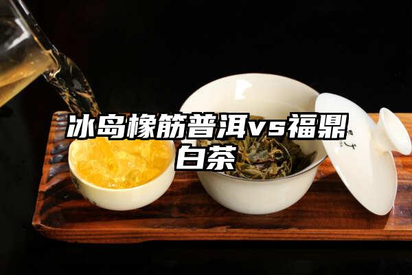 冰岛橡筋普洱vs福鼎白茶