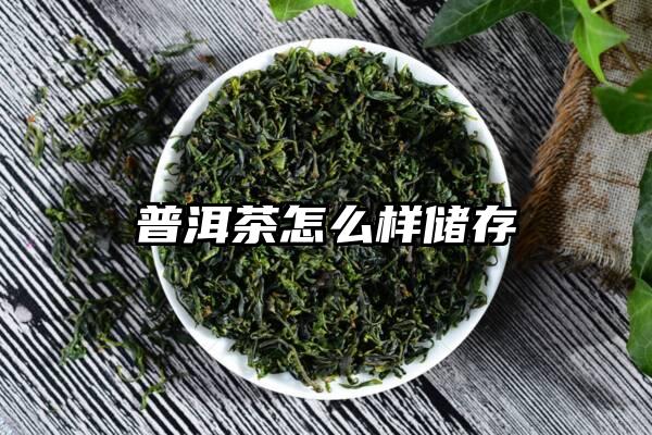 普洱茶怎么样储存