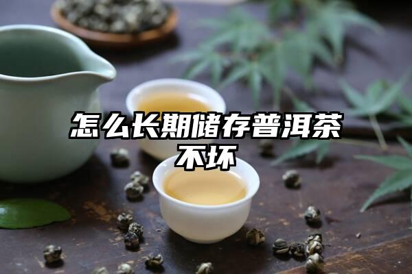 怎么长期储存普洱茶不坏