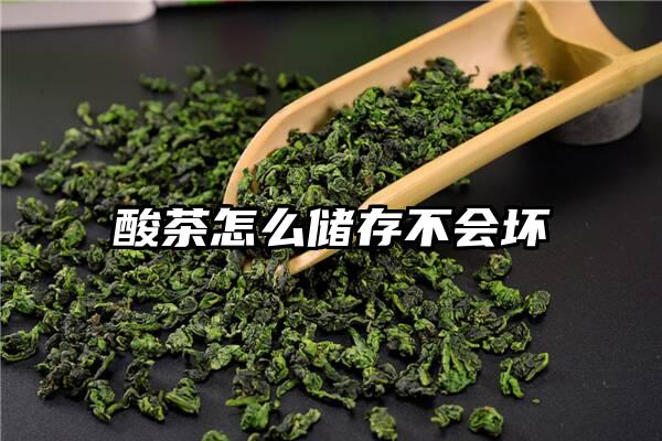 酸茶怎么储存不会坏