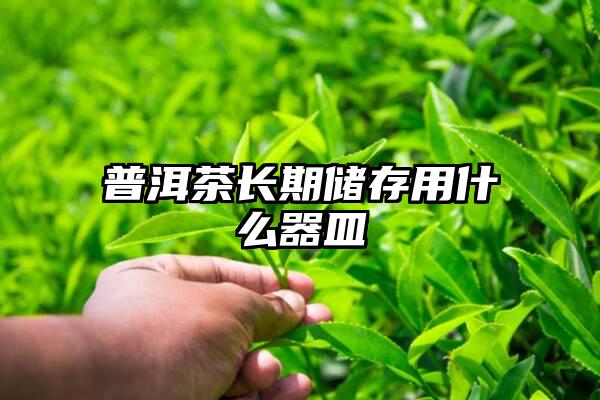 普洱茶长期储存用什么器皿