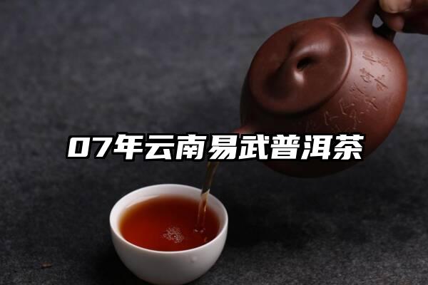 07年云南易武普洱茶