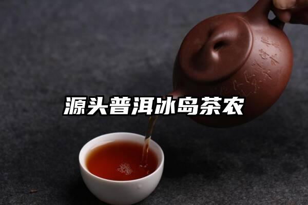 源头普洱冰岛茶农