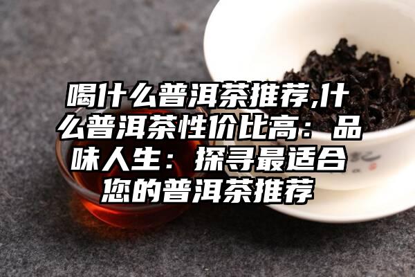 喝什么普洱茶推荐,什么普洱茶性价比高：品味人生：探寻最适合您的普洱茶推荐