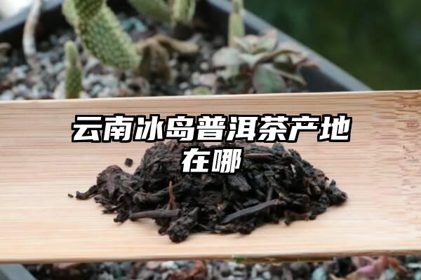 云南冰岛普洱茶产地在哪