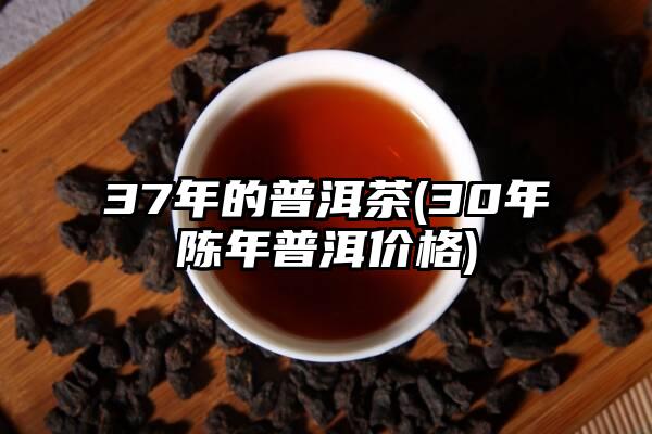 37年的普洱茶(30年陈年普洱价格)