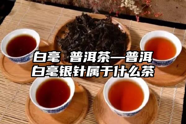 白毫 普洱茶—普洱白毫银针属于什么茶