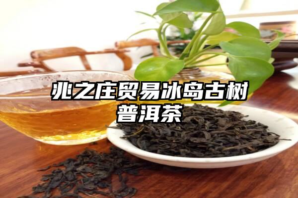 兆之庄贸易冰岛古树普洱茶