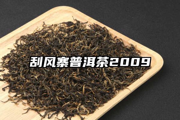 刮风寨普洱茶2009