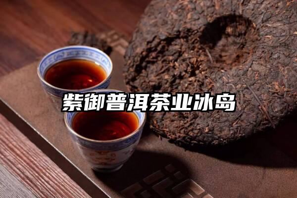 紫御普洱茶业冰岛