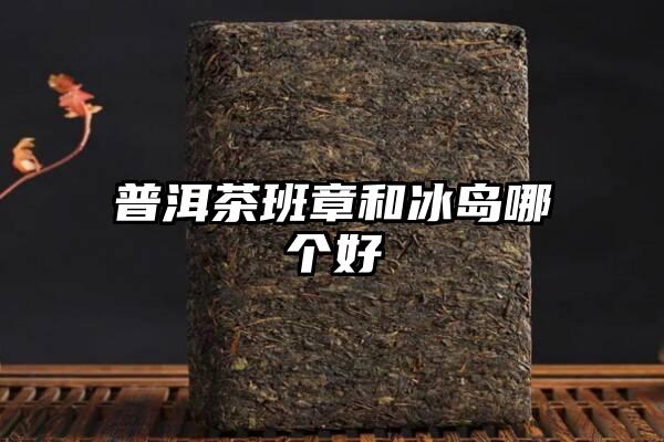 普洱茶班章和冰岛哪个好