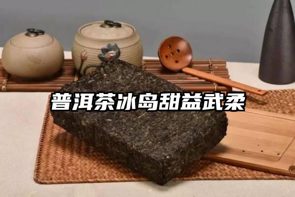 普洱茶冰岛甜益武柔