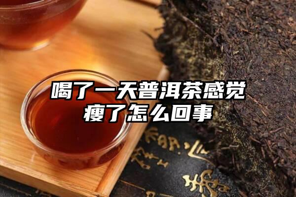 喝了一天普洱茶感觉瘦了怎么回事