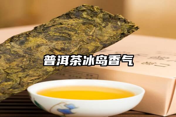 普洱茶冰岛香气