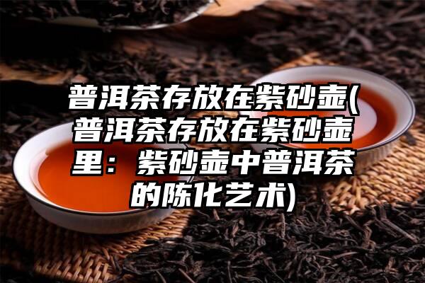 普洱茶存放在紫砂壶(普洱茶存放在紫砂壶里：紫砂壶中普洱茶的陈化艺术)