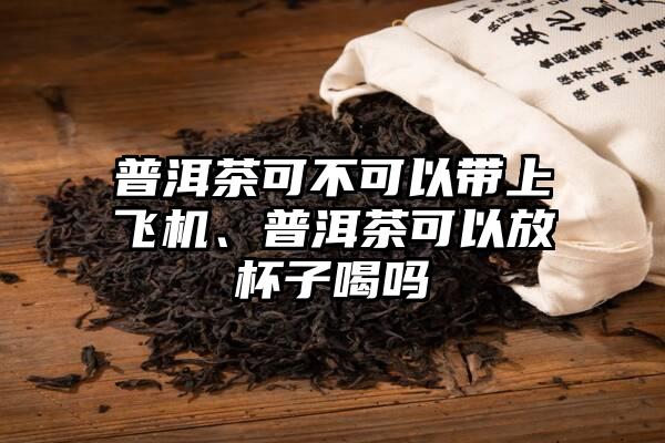 普洱茶可不可以带上飞机、普洱茶可以放杯子喝吗