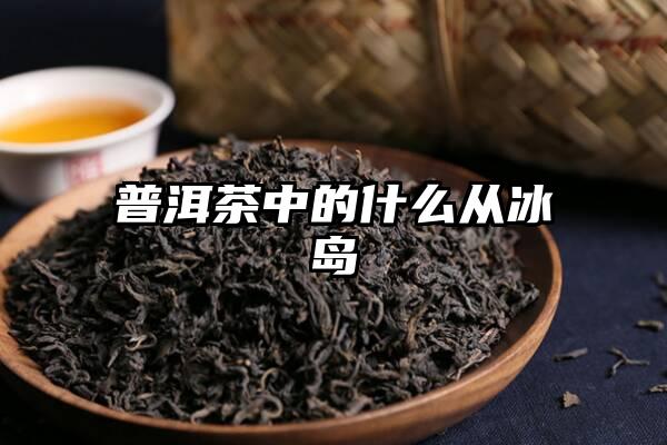 普洱茶中的什么从冰岛