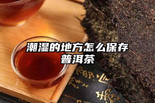 潮湿的地方怎么保存普洱茶