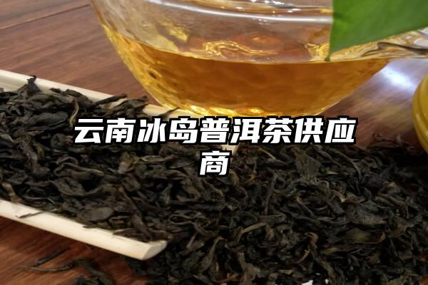 云南冰岛普洱茶供应商