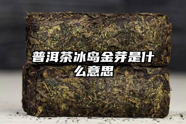 普洱茶冰岛金芽是什么意思