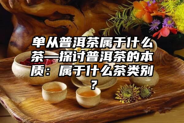 单从普洱茶属于什么茶—探讨普洱茶的本质：属于什么茶类别？