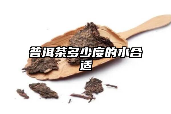 普洱茶多少度的水合适