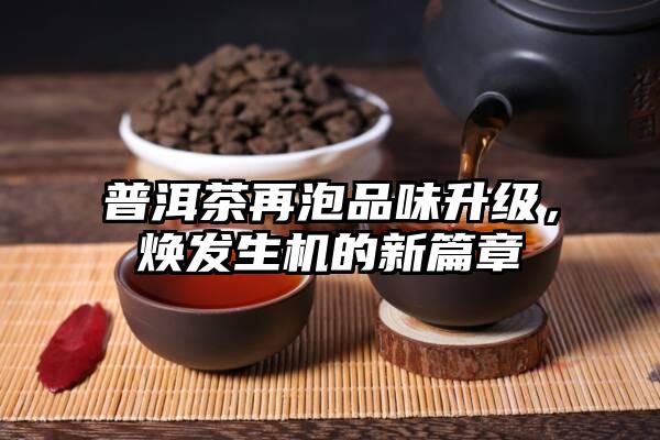 普洱茶再泡品味升级，焕发生机的新篇章