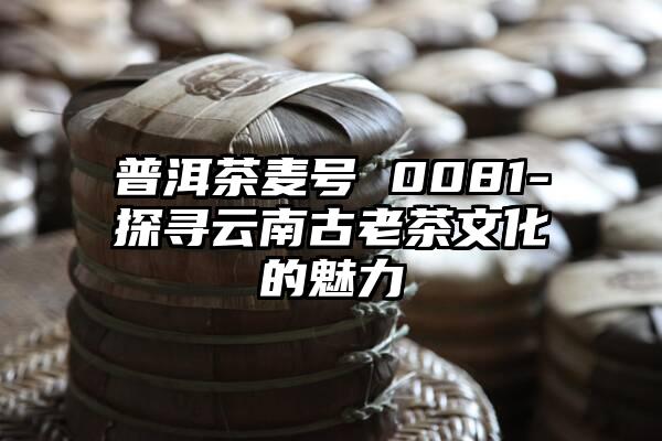 普洱茶麦号 0081-探寻云南古老茶文化的魅力