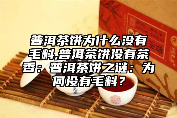 普洱茶饼为什么没有毛料,普洱茶饼没有茶香：普洱茶饼之谜：为何没有毛料？