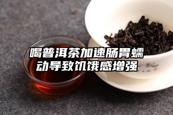 喝普洱茶加速肠胃蠕动导致饥饿感增强