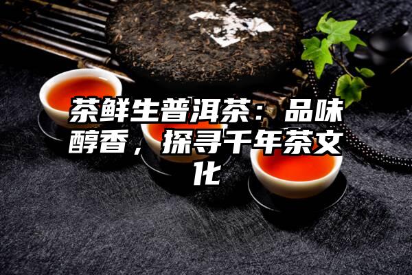 茶鲜生普洱茶：品味醇香，探寻千年茶文化